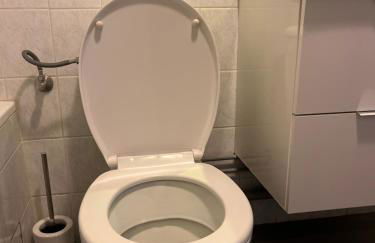 Square Walliser près ZENITH - Foto 10