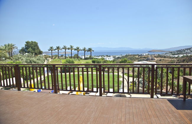 Palmiye Tepesi - Foto 53