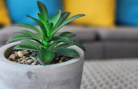 Urban 360 view Apartment - Foto 41