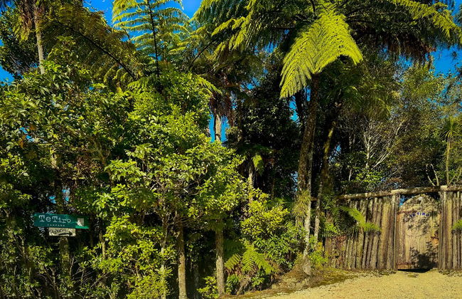 Te Tiro Accommodation - Foto 49