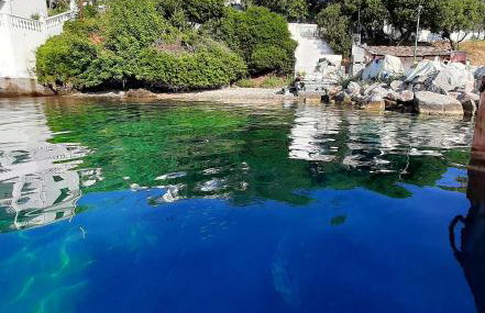 Chiona΄s Apartments by the Sea - Photo 22