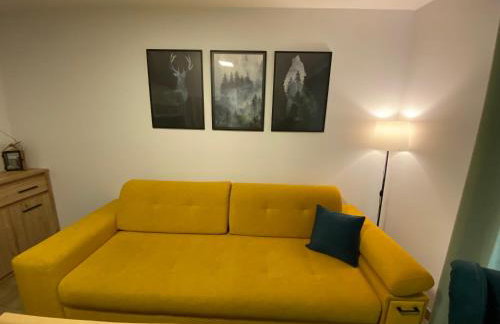 Apartamenty JENDRYCÓWKA - Foto 45