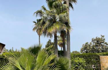 Schönes Ferienhaus Caesar mit großem Pool und Garten - Foto 42