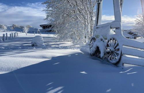 Chalet du Pradel - Photo 27