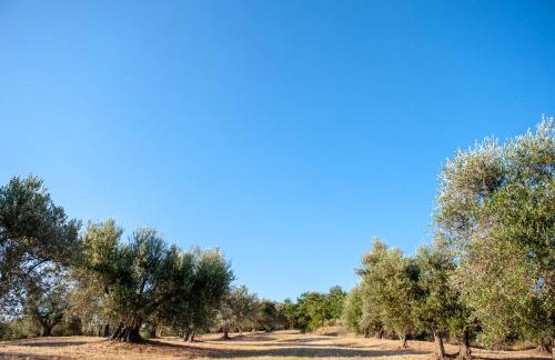 Agriturismo Vocabolo Poggio del Pero - Foto 73