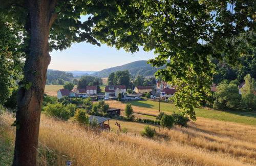 Wunderschöne Ferienwohnung in Thüringen - Foto 32