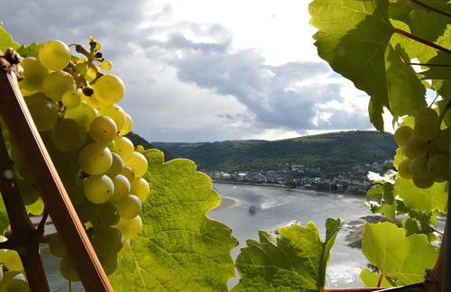 Bacchus Holiday Homes - Foto 38