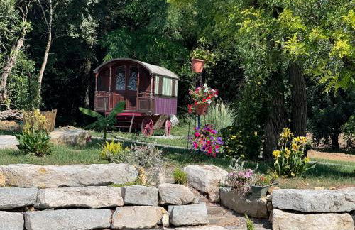 la Roulotte du Pont Sarrazin - Foto 12