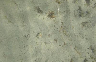 Apartment Tara - Foto 27