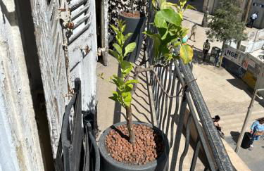 Historique vieux port - Foto 52