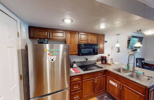 President Studio Pool-Spa Ski-in out Gym, Sauna, Laundry, BBQ - Photo 7