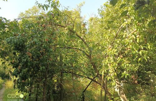 Gästehaus am Main - Foto 28