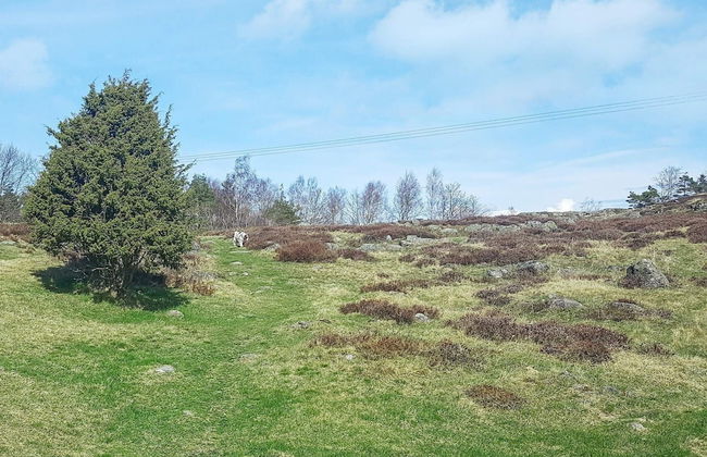 4 Person Holiday Home in Kyrkesund-by Traum - Foto 34