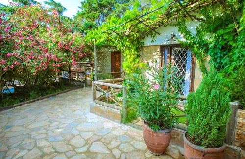 CAN BERNARDI - Foto 15