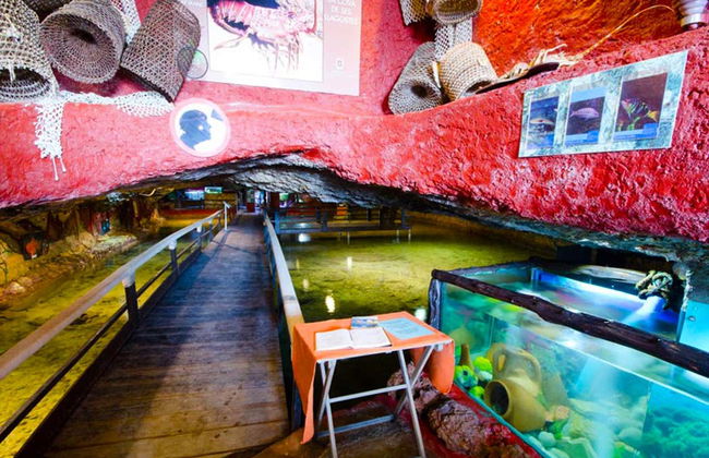 Cala Saladeta + Ses Margalides Boat Trip - Foto 7