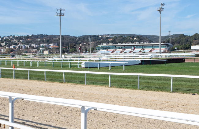 Le Crystal - Foto 39