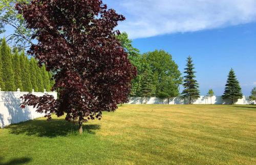 Beachfront~Private Sand Beach~Close Mackinac Ferry - Foto 21