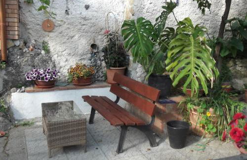 Le Mimose - Photo 72