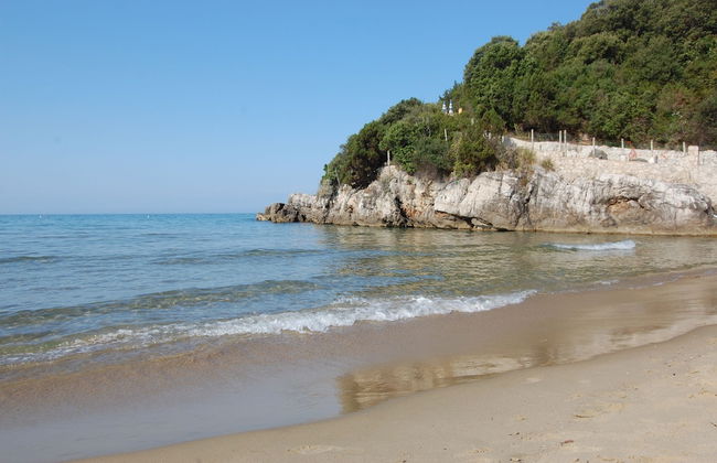 Bahia Blanca - Foto 1