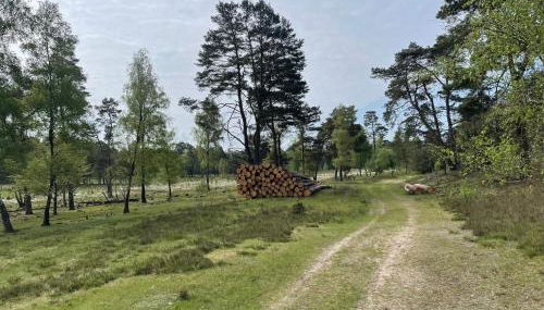 Hof Heideglück - Foto 2