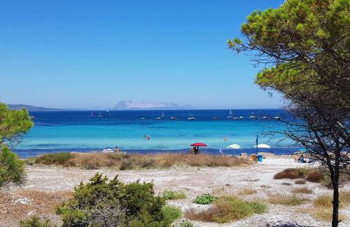 Holiday Home La Conchiglia D'oro by Interhome - Foto 56