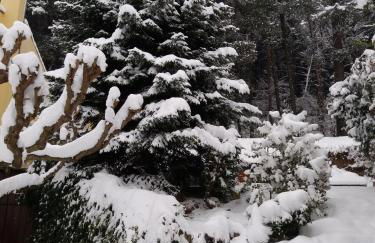 Six Steps From The Forest - Photo 28