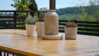 Monna Terra B&B - Foto 5, Garden, Garden view