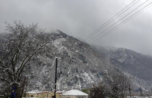 Artemis Apartments - Photo 62