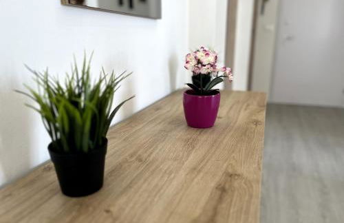 Appartamento ALöa - Foto 10