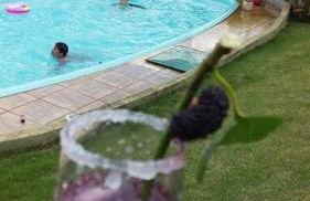 Casa de Campo Luz da Lua - Foto 17