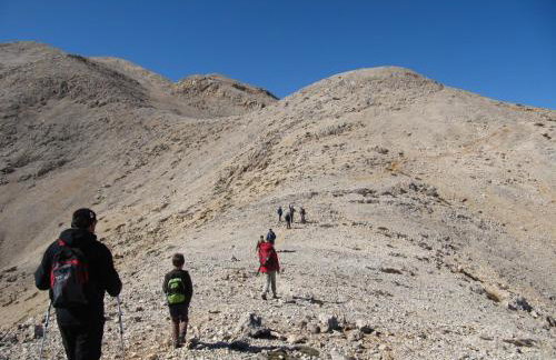 Studios Fokies - Photo 26