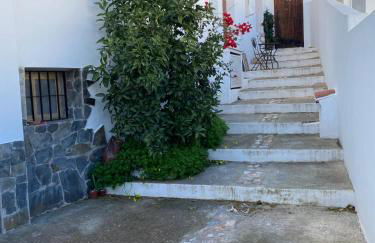 Sun Seekers - Foto 22