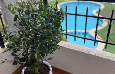 Lobo en Cabo Apartment, Cabo Roig , Orihuela Costa - Photo 7