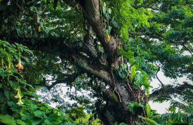 Gingerhill Farm Retreat - Foto 63