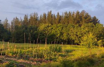 WITERICUS hospedaxe - Photo 20