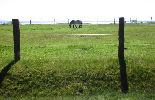 FeWo-Solveig - Foto 13