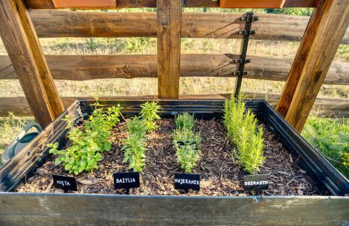 Bory Za Płotem - Foto 26