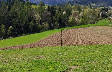 Domek Pod Prehybą -Agroturystyka - Foto 33