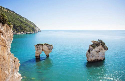 Villarichi - Foto 13