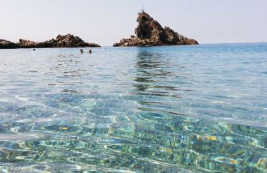 L' Agrumeto - Photo 57