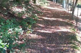 Ferienwohnung am Zeitenweg - Foto 13