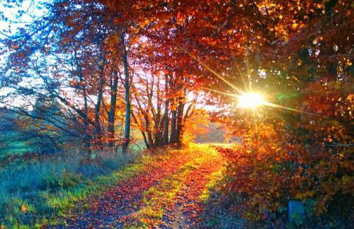 Ferienhaus Hellaberg - Foto 35