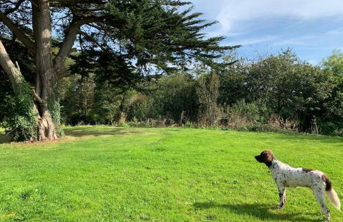 Bream Loft, dog friendly, wood burner, walking distance to beach - Foto 21