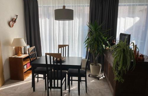 FeWo Roland Ranft direkt am Kurpark Barrierearm 60qm - Foto 24