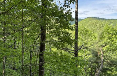 Quiet Ellijay Cabin 2 Master Ensuites, Stunning Views, Hot Tub, Dogs Welcome - Foto 41