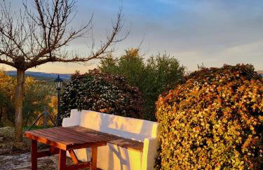 Casa de Campo La Mejorana Refugio entre olivos sin renunciar al confort - Foto 58