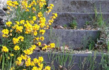 Ferienhaus Zenz - Ferienwohungen - Foto 43