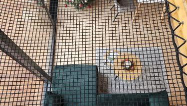 Domki Pod Lasem - Domek Sosnowy - Foto 5