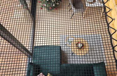 Domki Pod Lasem - Domek Sosnowy - Foto 5