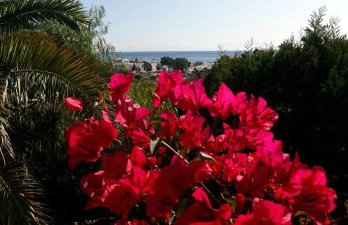 Villa Teresa - Foto 16